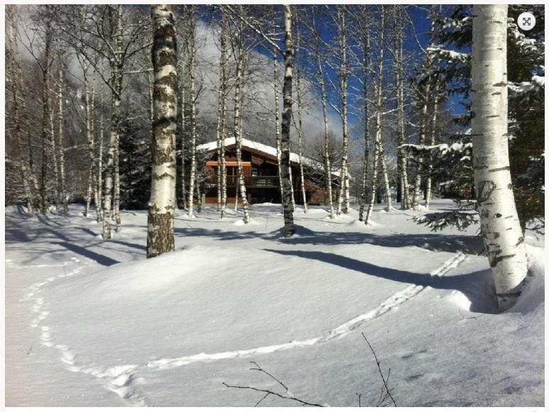 Chalet Champraz - Free Parking Шамони Экстерьер фото