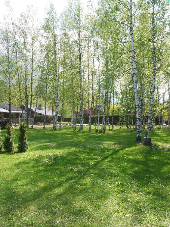 Chalet Champraz - Free Parking Шамони Экстерьер фото