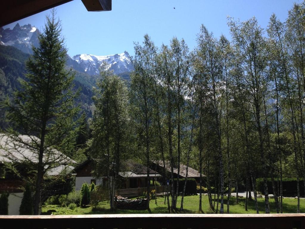 Chalet Champraz - Free Parking Шамони Экстерьер фото